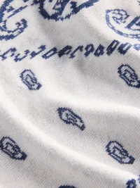 Paisley Triangle Scarf - Sargassus blue — view 3