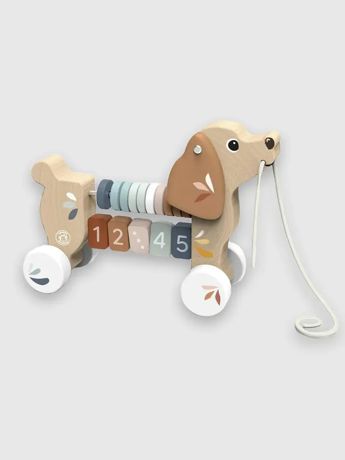 Puppy Pull Along Toy - Multi