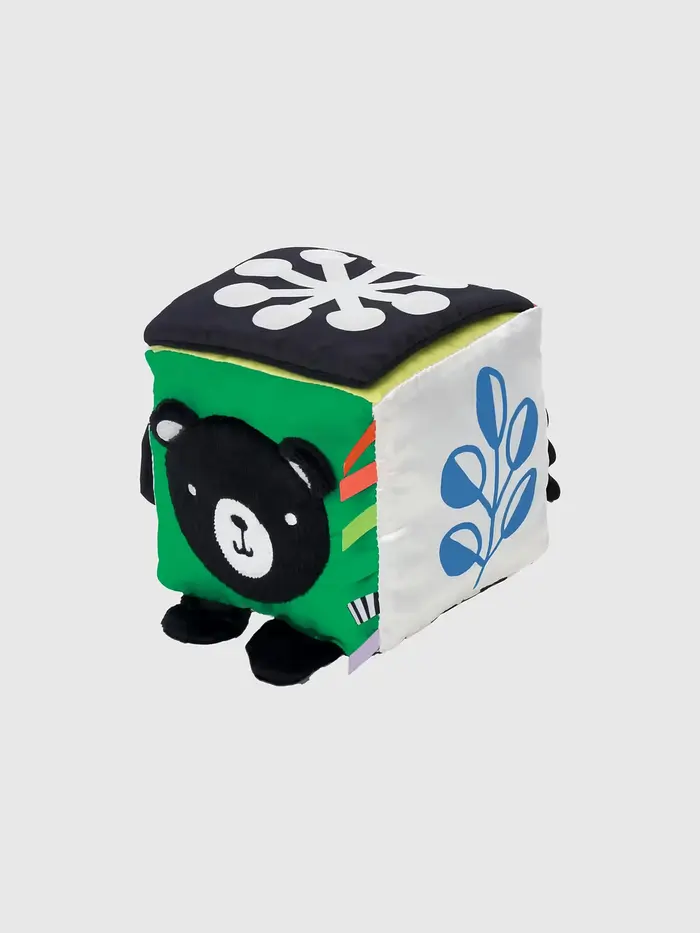 Wimmer Discovery Cube - Multi